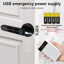 Load image into Gallery viewer, Tuya Biometric Fingerprint Smart Door Lock Password Electronic Digital Lock
